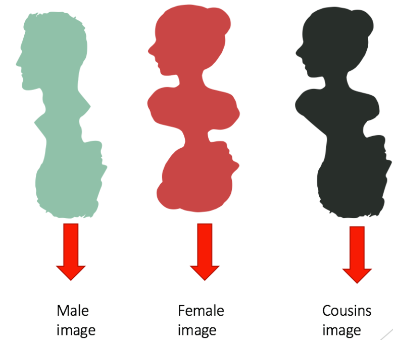 Screen Shot 2020-03-12 at 13.07.40.png